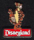 with Disneyland logo